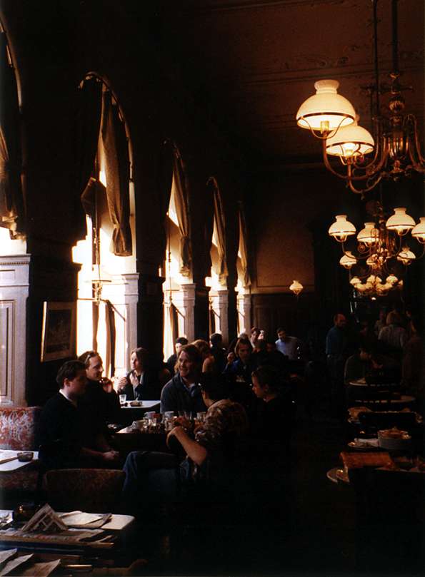 the dark, welcoming interior of Cafe Sperl, Vienna