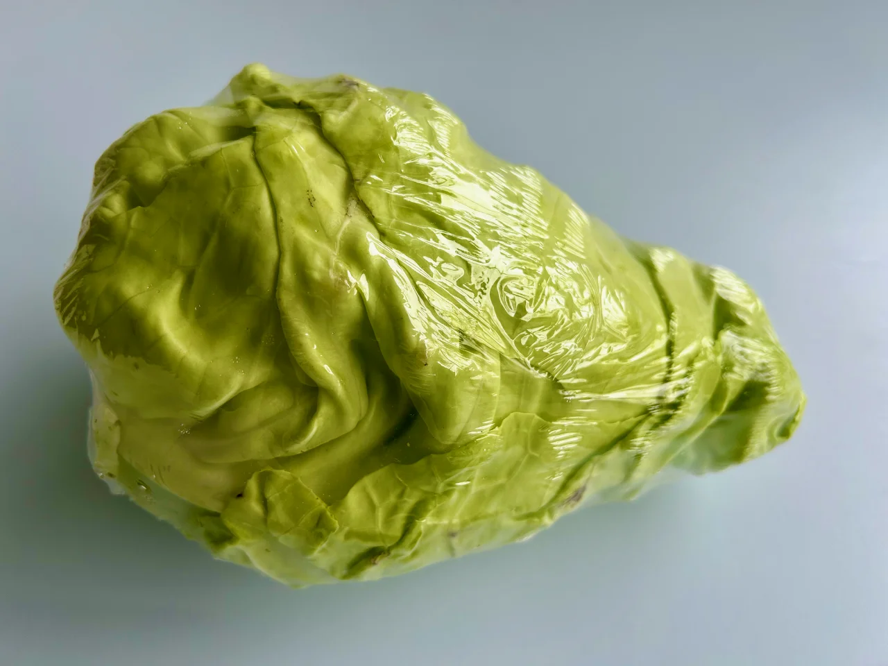 A pointed white cabbage