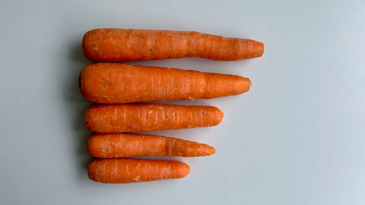 Five carrots of various sizes