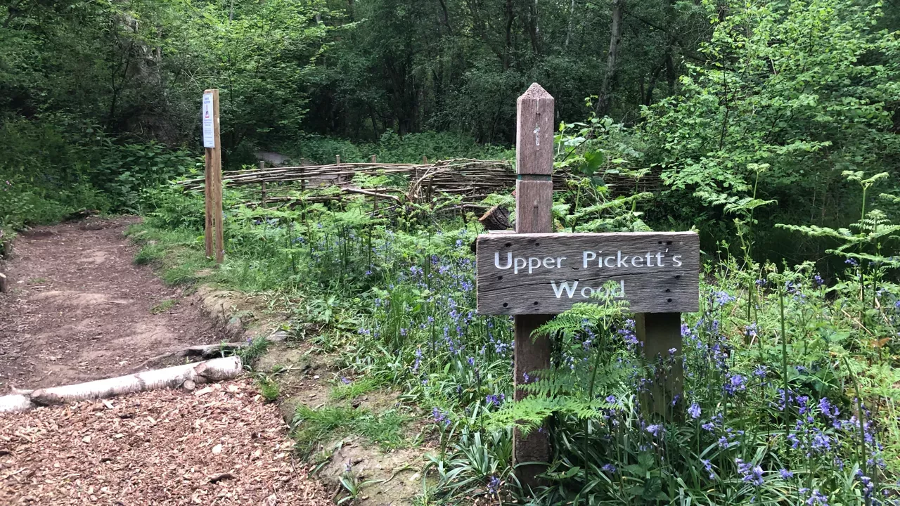 Upper Pickett’s Wood