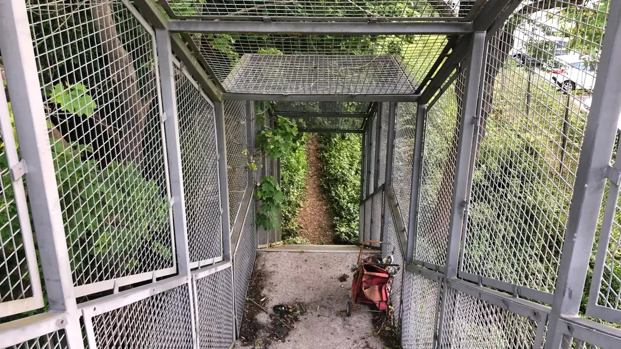 First caged footbridge