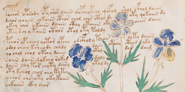 Voynich manuscript (detail)